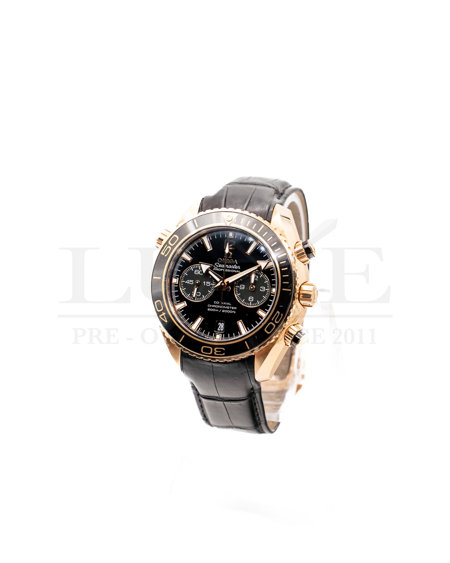 Seamaster Planet Ocean