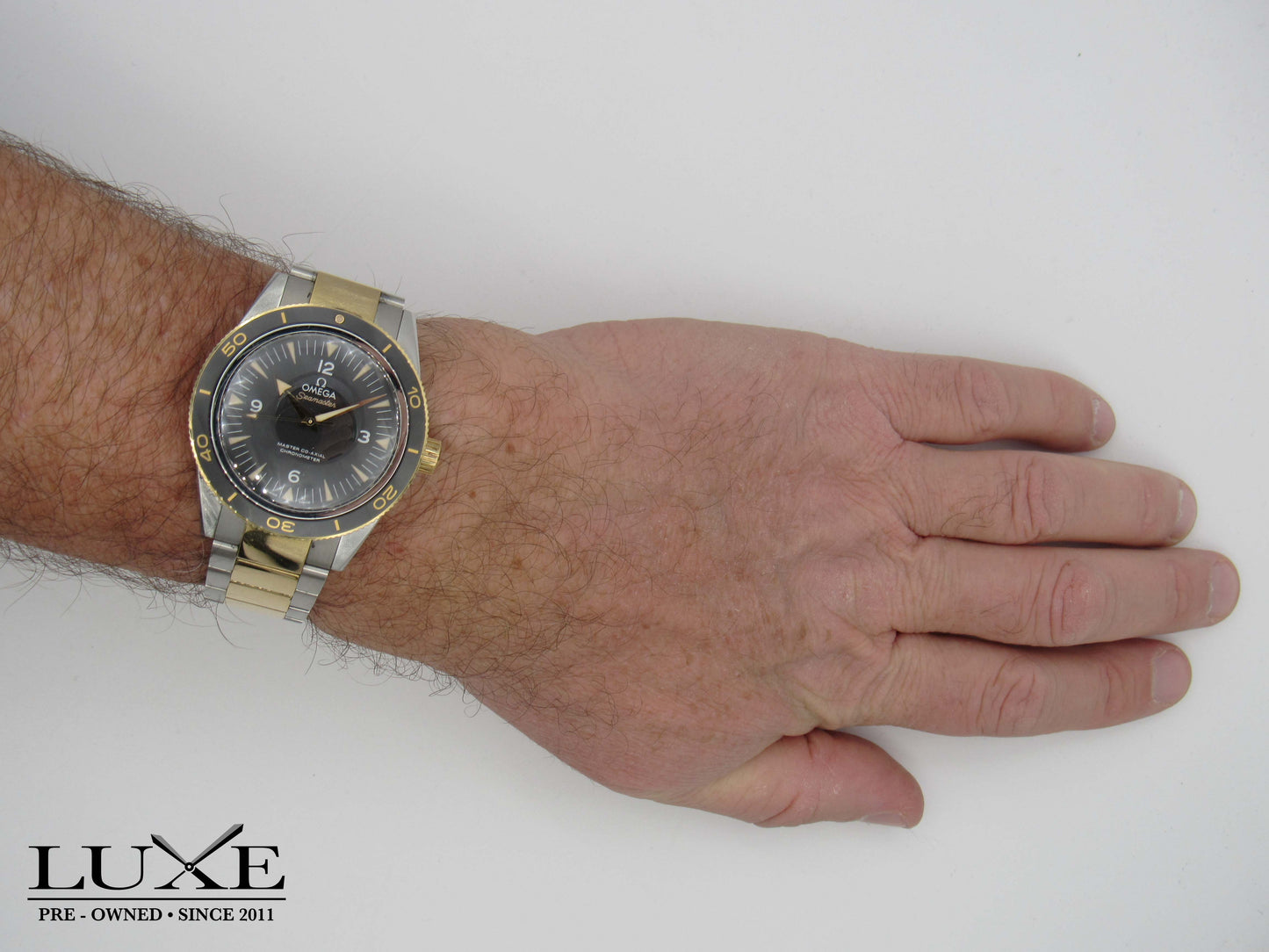 Seamaster 300